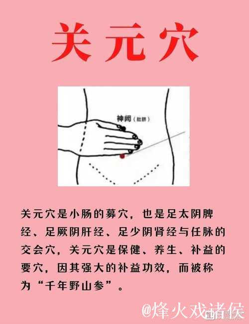 久久机热背后的深层秘密解析